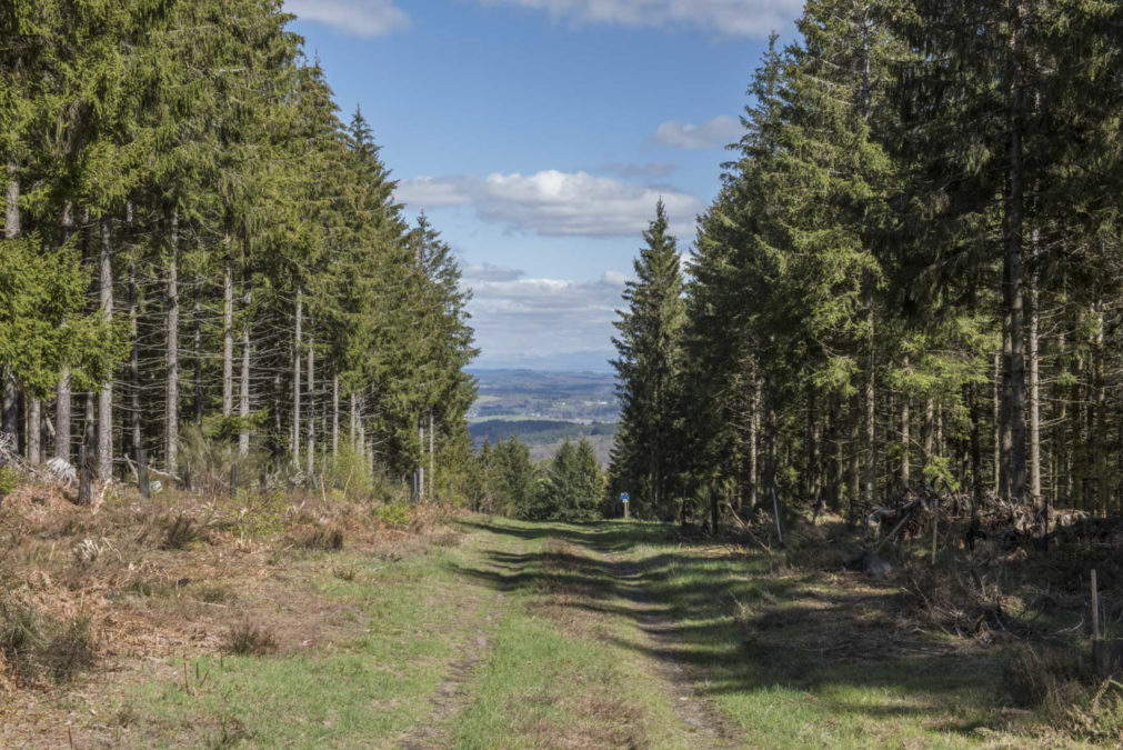 OPP Vallée de la Diège